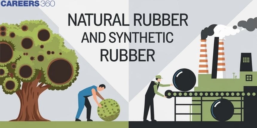 Natural Rubber and Synthetic Rubber: Definition and History